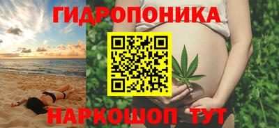 стаф Свободный