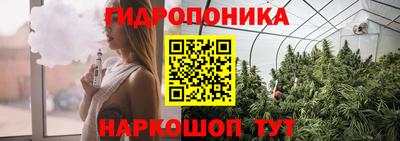 стаф Свободный