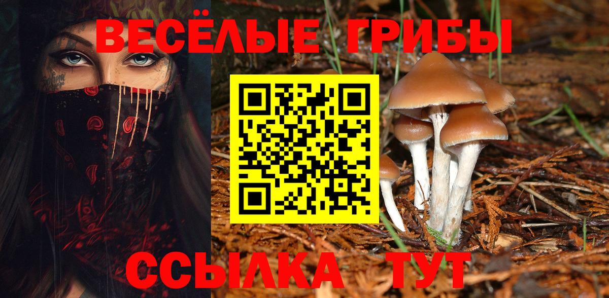 Орск  Псилоцибиновые грибы MAGIC MUSHROOMS  Псилоцибиновые грибы MAGIC MUSHROOMS  Вход с VPN 