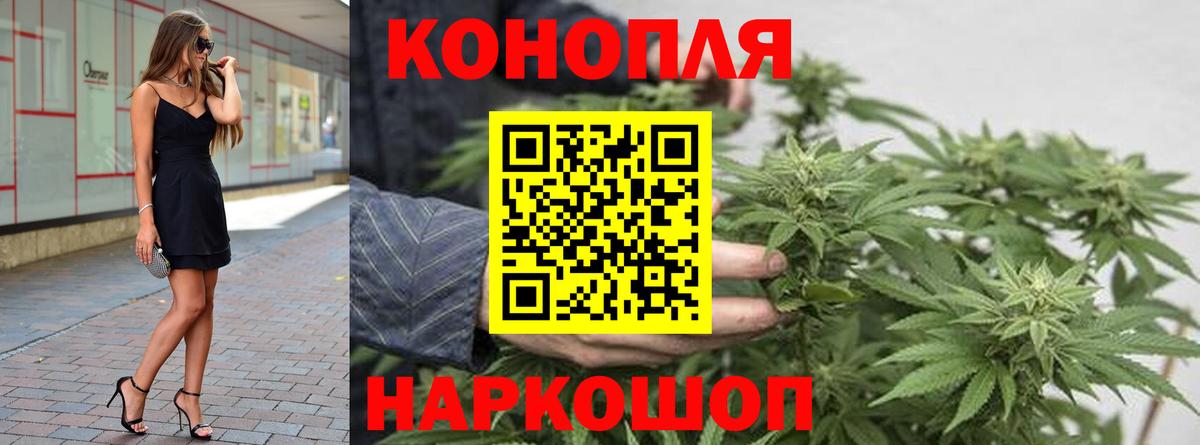 Конопля сатива Орск